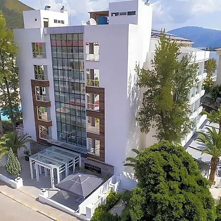 Supreme Adults Only İçmeler